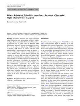 Winter Habitat of Xylophilus Ampelinus, the Cause of Bacterial Blight of Grapevine, in Japan