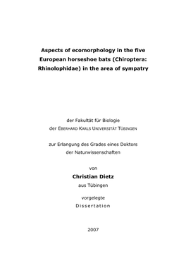 Dissertation Christian Dietz 2007