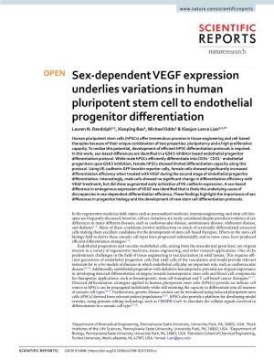 Sex-Dependent VEGF Expression Underlies Variations in Human Pluripotent Stem Cell to Endothelial Progenitor Differentiation