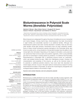 Bioluminescence in Polynoid Scale Worms (Annelida: Polynoidae)