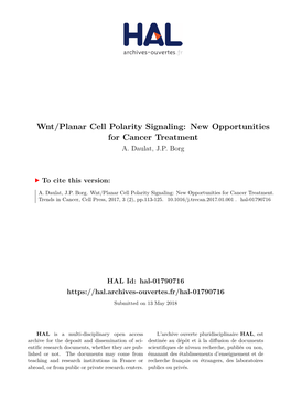 Wnt/Planar Cell Polarity Signaling: New Opportunities for Cancer Treatment A