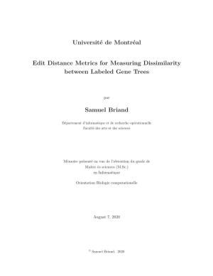 Université De Montréal Edit Distance Metrics for Measuring Dissimilarity