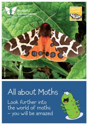 All About Moths