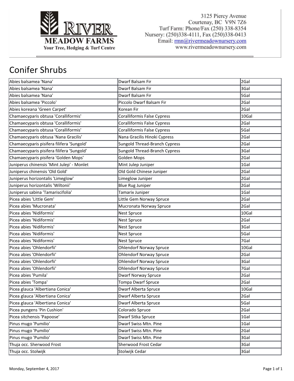 Conifer Shrubs