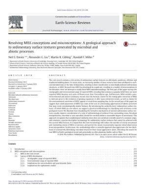 Resolving MISS Conceptions and Misconceptions: a Geological Approach to Sedimentary Surface Textures Generated by Microbial and Abiotic Processes