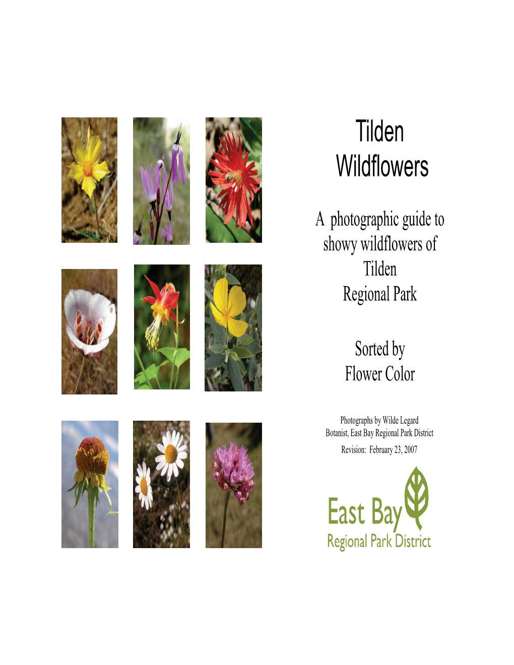 A Photographic Guide to Showy Wildflowers of Tilden Regional Park Sorted by Flower Color