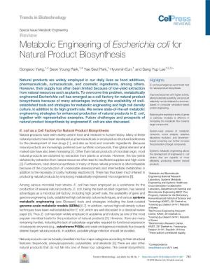 Metabolic Engineering of Escherichia Coli for Natural Product Biosynthesis
