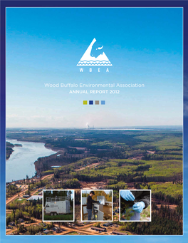 WBEA 2012 Annual Report