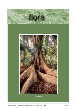 Lord Howe Island Biodiversity Management Plan 110