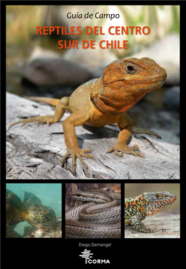 Reptiles Del Centro Sur De Chile