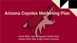 Arizona Coyotes Marketing Plan