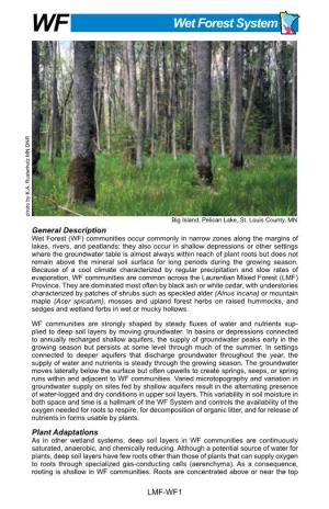 Laurentian Mixed Forest Province, Wet Forest System Summary
