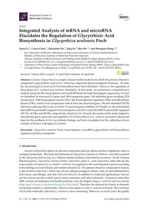 Integrated Analysis of Mrna and Microrna Elucidates the Regulation of Glycyrrhizic Acid Biosynthesis in Glycyrrhiza Uralensis Fisch