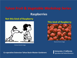 Tahoe Fruit & Vegetable Workshop Series
