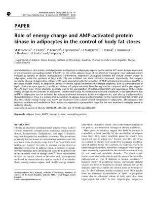 PAPER Role of Energy Charge and AMP-Activated Protein Kinase in Adipocytes in the Control of Body Fat Stores