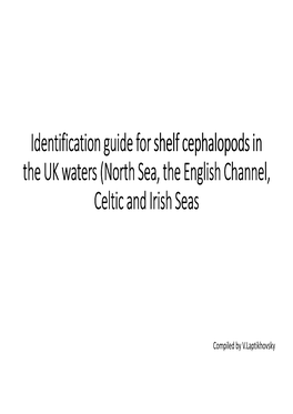 North Sea, the English Channel, Celtic and Irish Seas