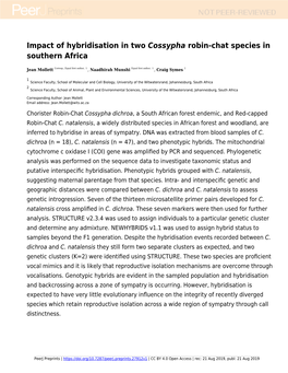 Impact of Hybridisation in Two [I]Cossypha[I] Robin-Chat Species In