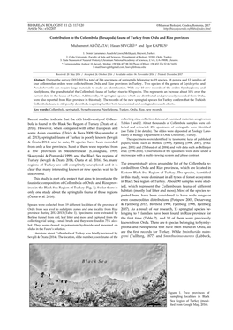 Contribution to the Collembola (Hexapoda) Fauna of Turkey from Ordu and Rize Provinces