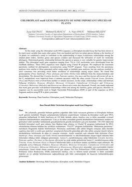 CHLOROPLAST Matk GENE PHYLOGENY of SOME IMPORTANT SPECIES of PLANTS