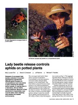 Lady Beetle Release Controls Aphids on Potted Plants