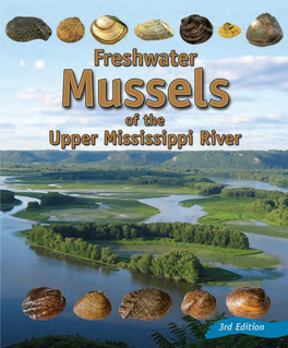 Freshwater Mussels Booklet
