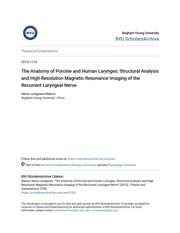 The Anatomy of Porcine and Human Larynges: Structural Analysis and High Resolution Magnetic Resonance Imaging of the Recurrent Laryngeal Nerve
