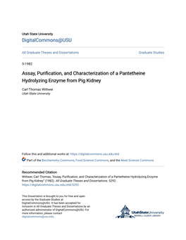 Assay, Purification, and Characterization of a Pantetheine Hydrolyzing Enzyme from Pig Kidney