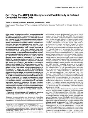 Ca*+ Entry Via AMPA/KA Receptors and Excitotoxicity in Cultured Cerebellar Purkinje Cells