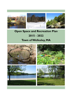 Open Space & Recreation Plan