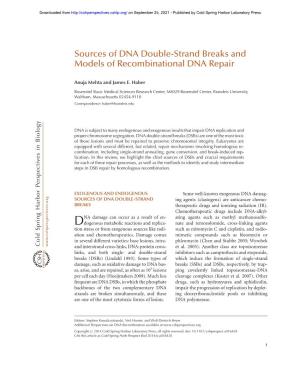 Sources of DNA Double-Strand Breaks and Models of Recombinational DNA Repair