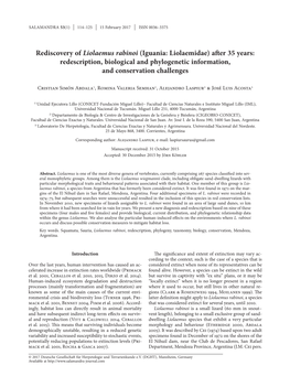 Rediscovery of Liolaemus Rabinoi (Iguania: Liolaemidae) After 35 Years: Redescription, Biological and Phylogenetic Information, and Conservation Challenges