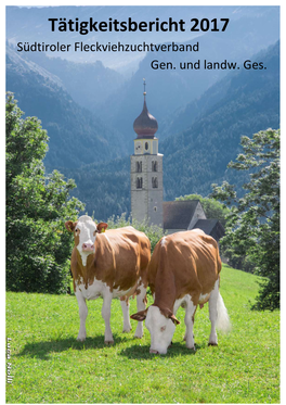 Tätigkeitsbericht 2017 Südtiroler Fleckviehzuchtverband Gen