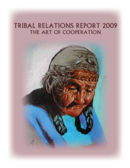 2009 Tribal Relations Report