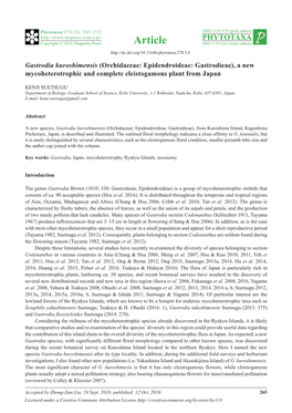 Gastrodia Kuroshimensis (Orchidaceae: Epidendroideae: Gastrodieae), a New Mycoheterotrophic and Complete Cleistogamous Plant from Japan