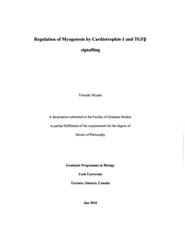 Regulation of Myogenesis by Cardiotrophin-1 and Tgfp Signalling
