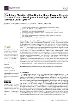 Conditional Mutation of Hand1 in the Mouse Placenta Disrupts Placental Vascular Development Resulting in Fetal Loss in Both Early and Late Pregnancy