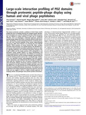 Large-Scale Interaction Profiling of PDZ Domains Through Proteomic Peptide-Phage Display Using Human and Viral Phage Peptidomes