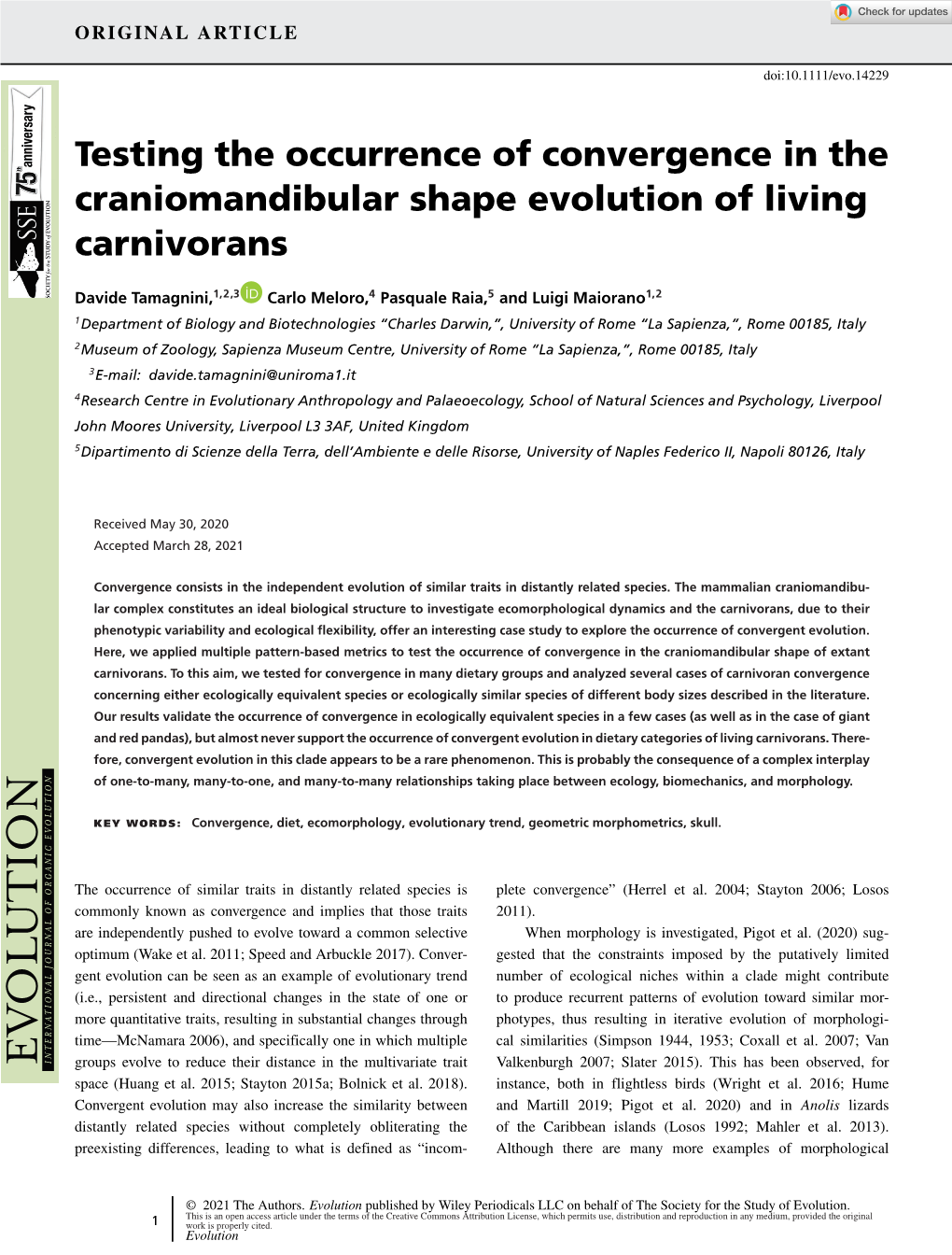 Testing the Occurrence of Convergence in the Craniomandibular Shape Evolution of Living Carnivorans