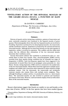 Ventilatory Action of the Hypaxial Muscles of the Lizard Iguana Iguana: a Function of Slow Muscle