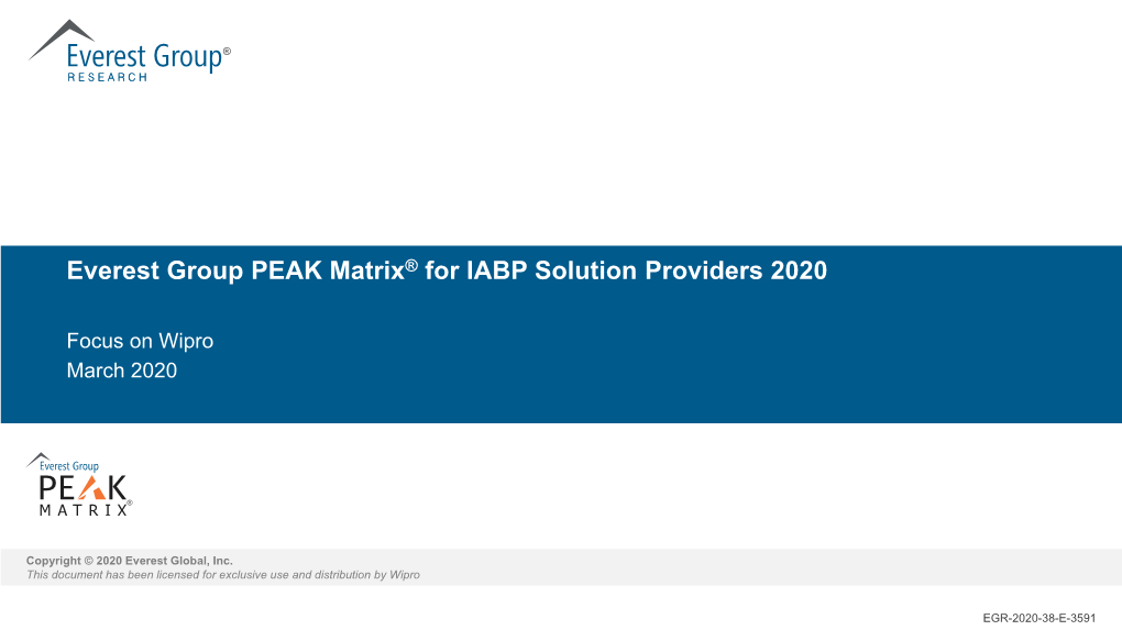 Everest Group PEAK Matrix for IABP Solutions 2020