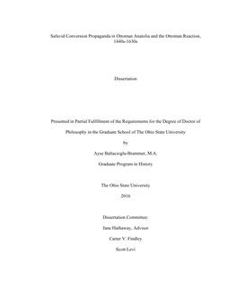 Baltacioglu-Brammer Dissertation