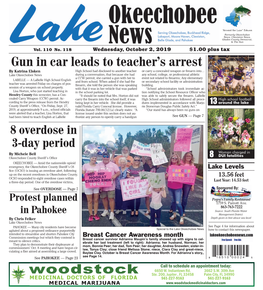 Woodstock Gun in Car Leads to Teacher's Arrest