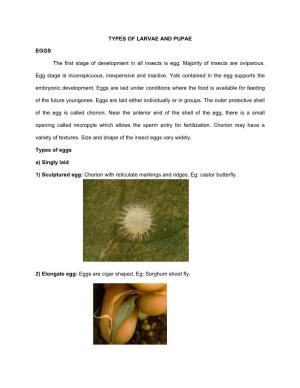TYPES of LARVAE and PUPAE EGGS the First Stage Of