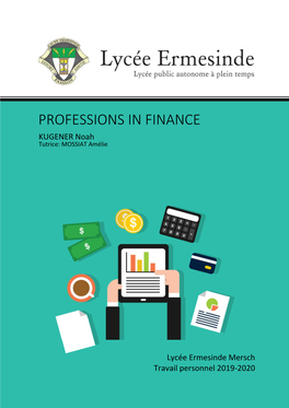 Professions in Finance