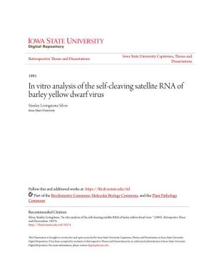 In Vitro Analysis of the Self-Cleaving Satellite RNA of Barley Yellow Dwarf Virus Stanley Livingstone Silver Iowa State University