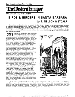 Birds & Birders in Santa Barbara