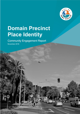 Domain Precinct Place Identity Community Engagement Report