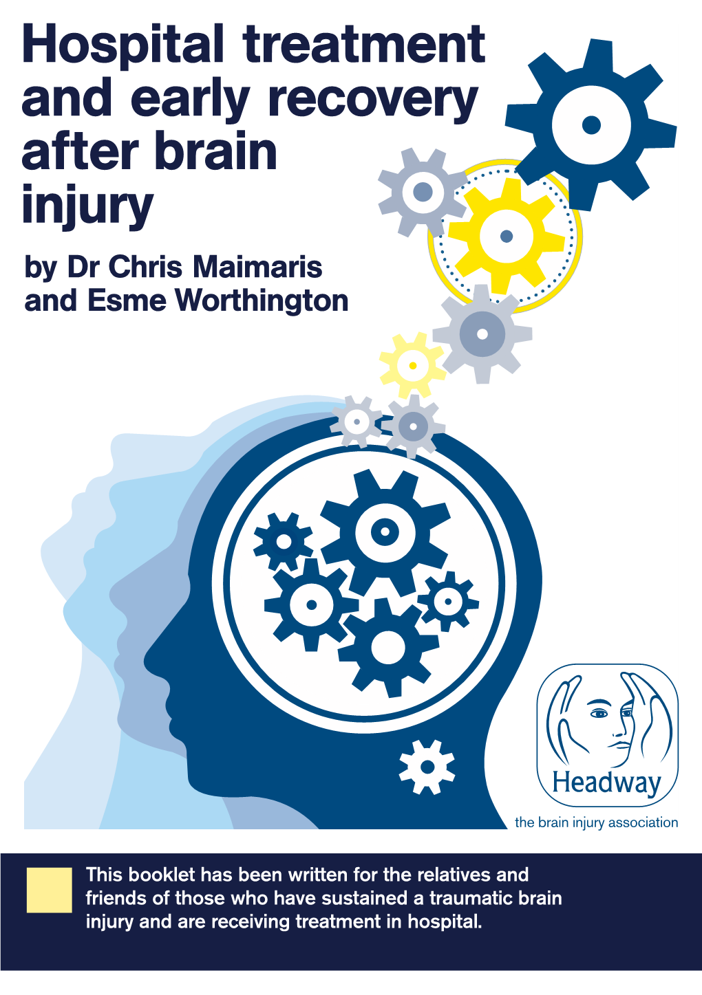 Hospital Treatment and Early Recovery After Brain Injury by Dr Chris Maimaris and Esme Worthington