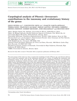 Carpological Analysis of Phoenix (Arecaceae): Contributions to the Taxonomy and Evolutionary History of the Genus