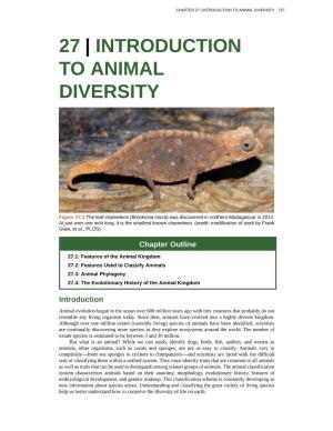 Chapter 27. Introduction to Animal Diversity